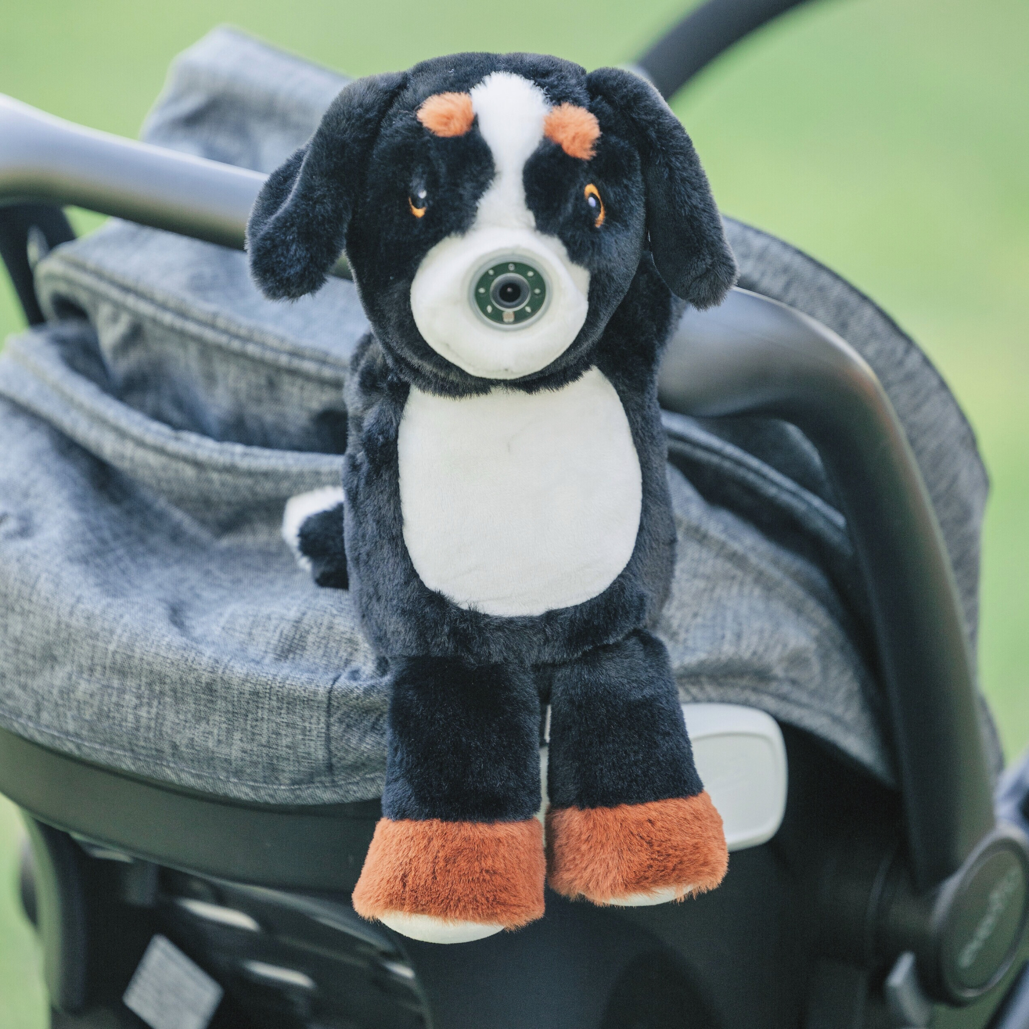 zooby® Baby Monitor | Cooper Canine