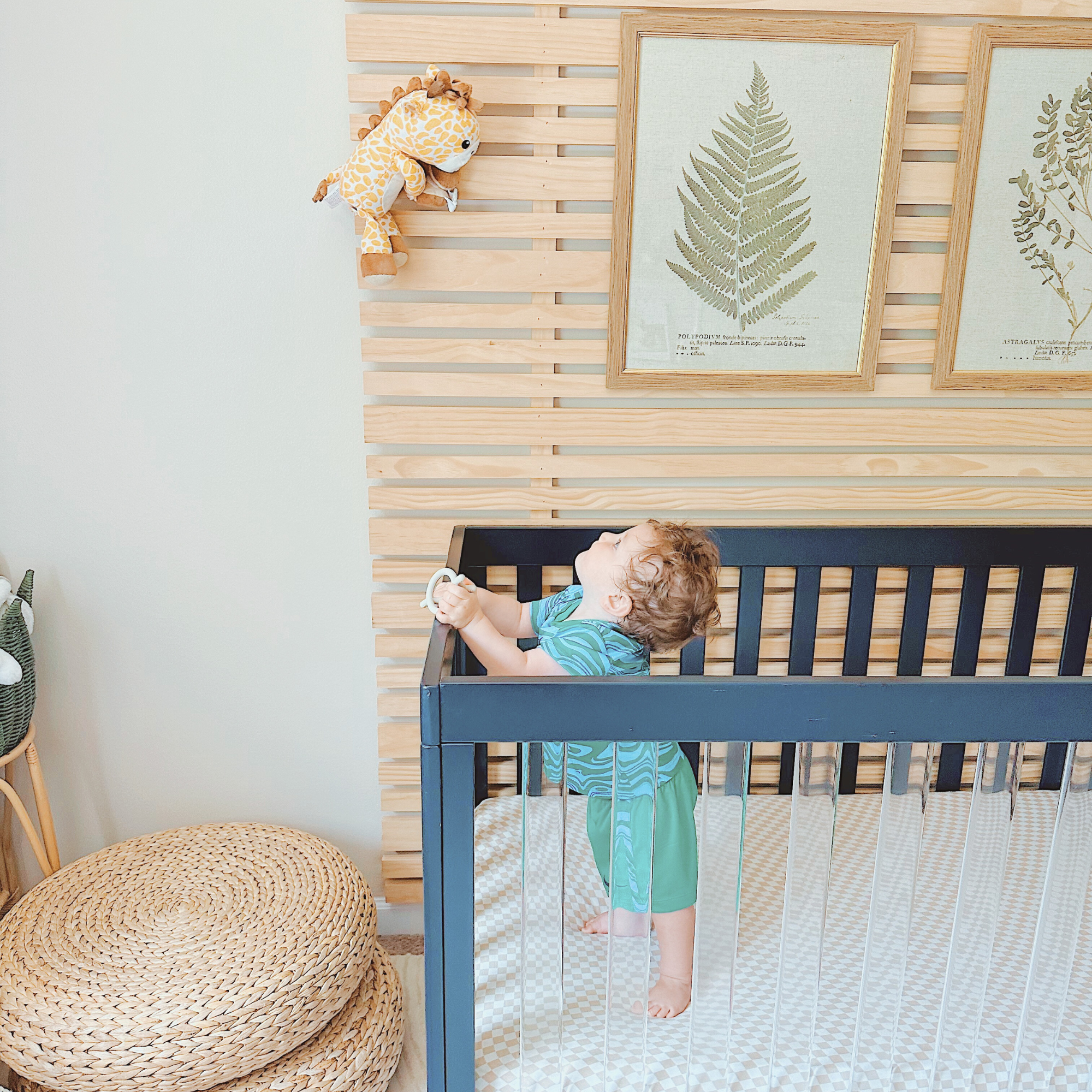 zooby® Baby Monitor | Jordan Giraffe