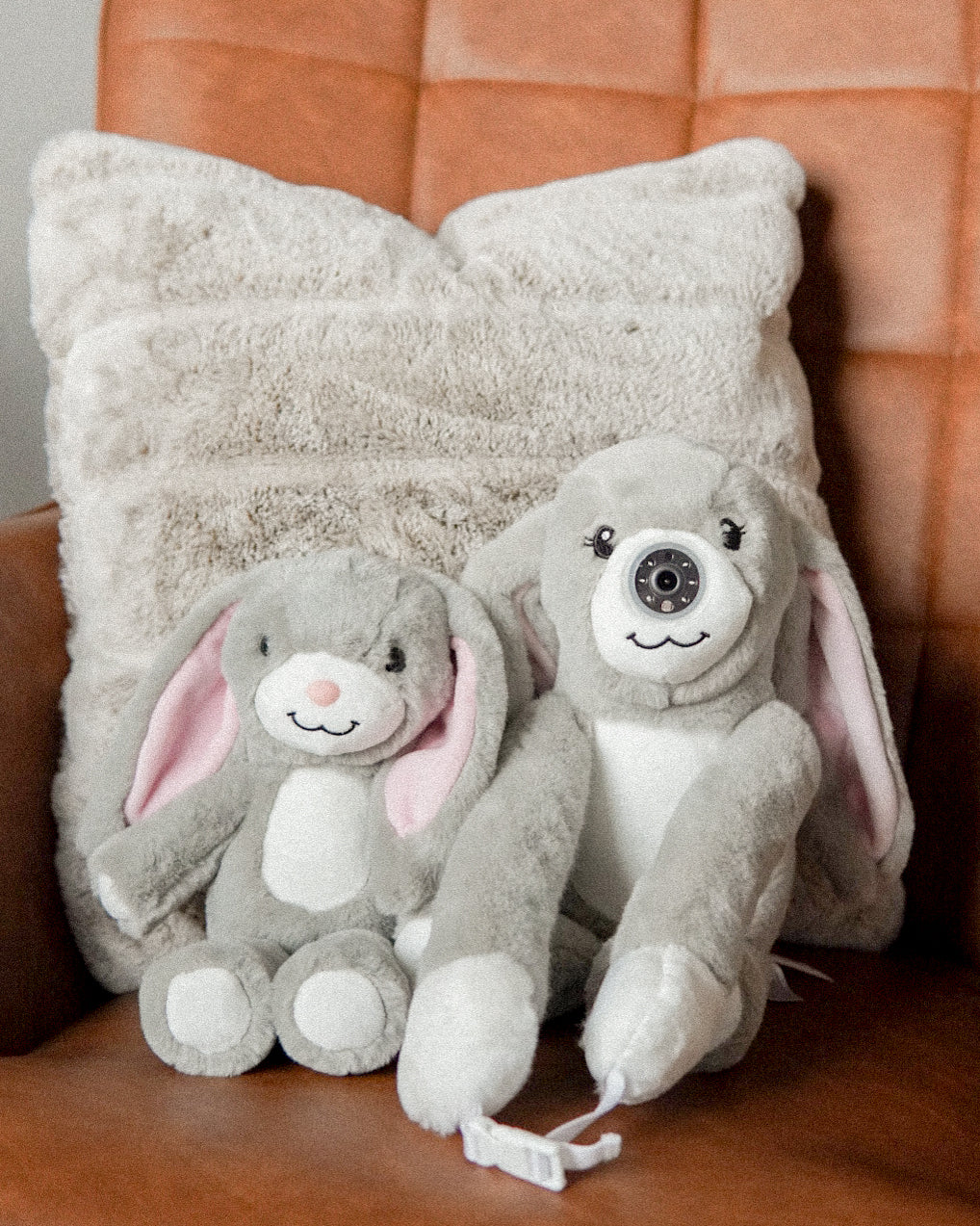 zooby® love collection