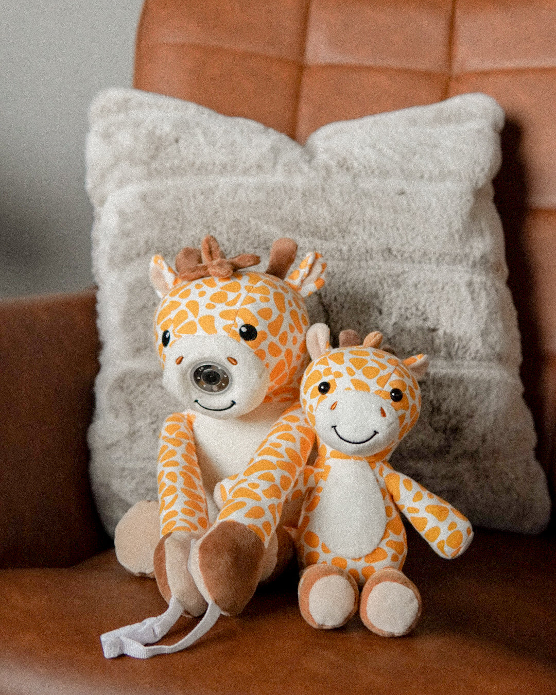 zooby® love collection