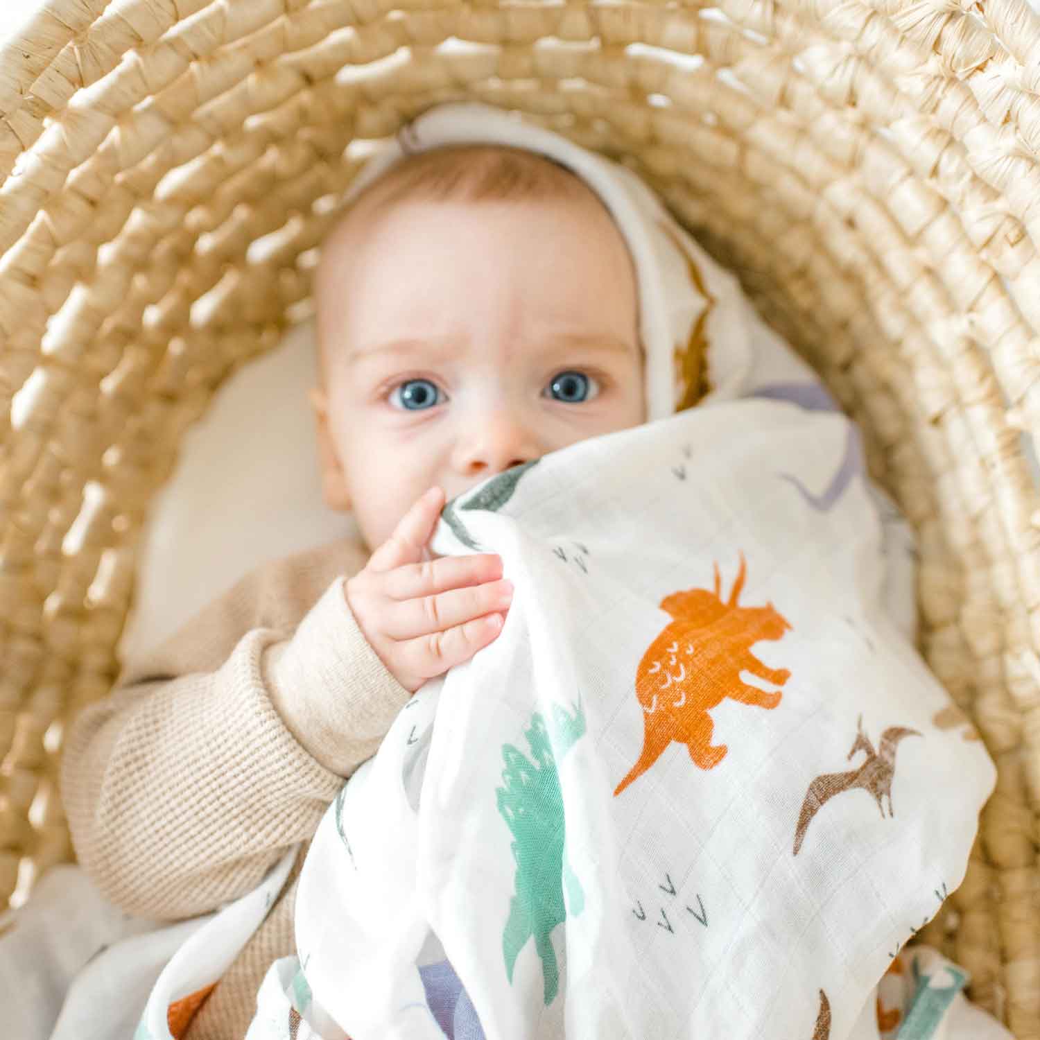 Cotton Muslin Swaddle - Dinosaur by Dolly Lana